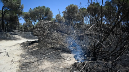 Detienen a un hombre que inició un incendio forestal