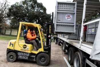 Los leones y tigres del zoo de Luján ya van en camino hacia Sudáfrica y Estados Unidos