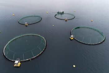 Los usurpadores de Malvinas quieren votar para evitar que instalen una salmonera