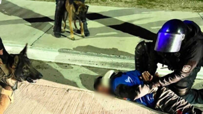 Robaba en vehículos estacionados y fue detenido