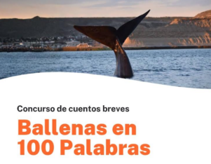 Chubut lanzó el concurso de cuentos breves “Ballenas en 100 palabras”