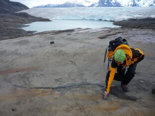 Chile: El retroceso del glaciar Tyndall deja al descubierto un cementerio de ictiosaurios