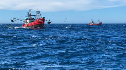 Chubut lidera por primera vez los desembarques pesqueros del país