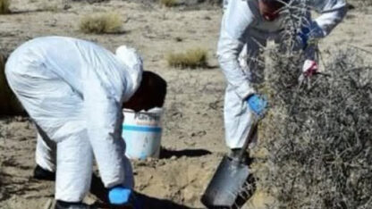 Hallan restos humanos en la zona de la doble trocha Trelew-Madryn