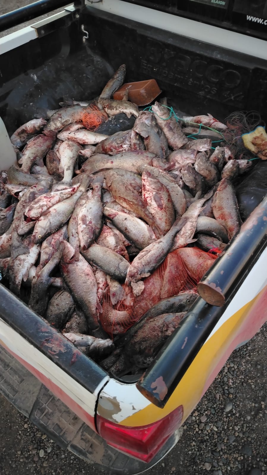Controles en la pesca deportiva