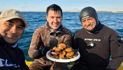 Científicos del CONICET buscan restaurar los bancos naturales de vieiras en Chubut
