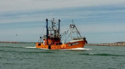 El 26 de octubre iniciará la prospección de langostino en aguas provinciales