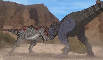 En el Cenpat también estudian los cuernos de los dinosaurios